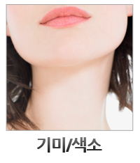 기미 색소
